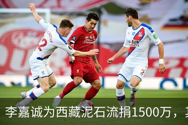 李嘉诚为西藏泥石流捐1500万，其他都是公司捐款，只有李嘉诚是个人