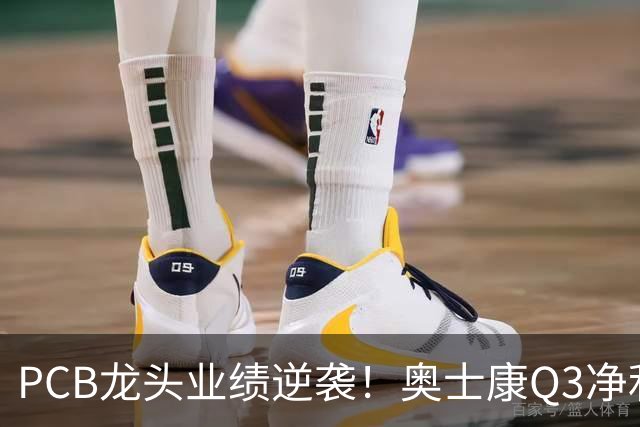 PCB龙头业绩逆袭！奥士康Q3净利暴增329%，股价年内涨了九成